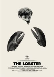 wp-1459804540647 image